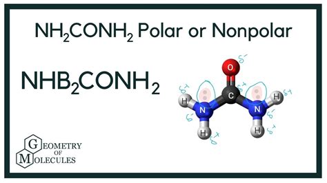Urea polar or nonpolar - This mixed solvent is mostly nonpolar due to the high percentage of hexane, but is more polar than straight hexane, due to the presence of some ethyl acetate (which has polar bonds, Figure 2.21a). The second plate was run using a 3:2 hexane:ethyl acetate mixture, which is more polar than the 6:1 mixture because there is a higher percentage of ...